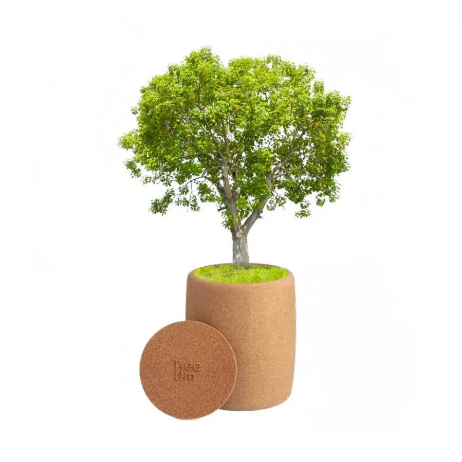 Natural & Renewable